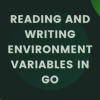 Reading and Writing Environment Variables in Go